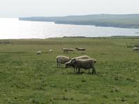 Downpatrick Head &ndash; &copy; Petra Sauer (Eberhardt TRAVEL)