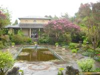 Exotische Pflanzen &ndash; &copy; Norbert Binder (Eberhardt TRAVEL)