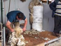 auf Kissane`s sheep farm &ndash; &copy; Dirk Schlosser (Eberhardt TRAVEL)