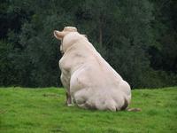 in der Muckross traditional farm &ndash; &copy; Dirk Schlosser (Eberhardt TRAVEL)