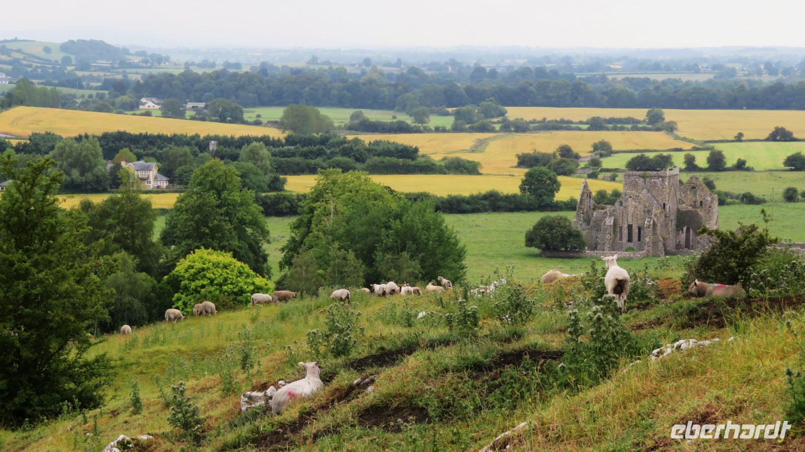 Cashel &ndash; &copy; Petra Sauer (Eberhardt TRAVEL)