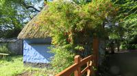 Bunratty &ndash; &copy; Petra Sauer (Eberhardt TRAVEL)