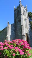 Bunratty