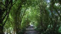 Bunratty &ndash; &copy; Petra Sauer (Eberhardt TRAVEL)