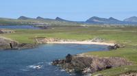 Dingle