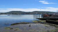 Castletownbere &ndash; &copy; Petra Sauer (Eberhardt TRAVEL)