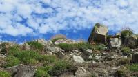 Mizen Head &ndash; &copy; Petra Sauer (Eberhardt TRAVEL)