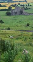 Cashel &ndash; &copy; Petra Sauer (Eberhardt TRAVEL)