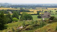 Cashel &ndash; &copy; Petra Sauer (Eberhardt TRAVEL)