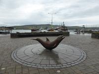 Dingle - Fungi &ndash; &copy; Claudia Bernhardt (Eberhardt TRAVEL)