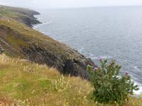 Dingle  Slea Head Drive &ndash; &copy; Claudia Bernhardt (Eberhardt TRAVEL)