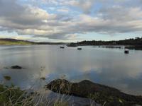 Glengariff - Bucht &ndash; &copy; Claudia Bernhardt (Eberhardt TRAVEL)