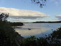 Glengariff - Bucht &ndash; &copy; Claudia Bernhardt (Eberhardt TRAVEL)