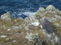 Mizen Head &ndash; &copy; Claudia Bernhardt (Eberhardt TRAVEL)