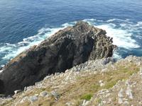 Mizen Head &ndash; &copy; Claudia Bernhardt (Eberhardt TRAVEL)