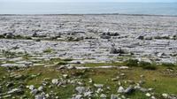 Burrenküste &ndash; &copy; Petra Sauer (Eberhardt TRAVEL)