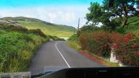 Nach Mizen Head &ndash; &copy; Petra Sauer (Eberhardt TRAVEL)