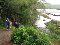 Glengariff &ndash; &copy; Petra Sauer (Eberhardt TRAVEL)