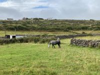 6. Tag – Wandern auf den Aran Islands &ndash; &copy; Andreas Wolfsteller (Eberhardt TRAVEL)