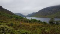 Glenveagh &ndash; &copy; Constanze Maißel (Eberhardt TRAVEL)