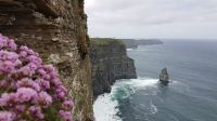 Cliffs of Moher &ndash; &copy; Constanze Maißel (Eberhardt TRAVEL)