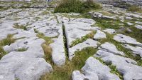 Burren &ndash; &copy; Constanze Maißel (Eberhardt TRAVEL)