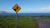 Dingle &ndash; &copy; Constanze Maißel (Eberhardt TRAVEL)