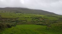 Dingle &ndash; &copy; Constanze Maißel (Eberhardt TRAVEL)