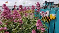 Cobh &ndash; &copy; Constanze Maißel (Eberhardt TRAVEL)