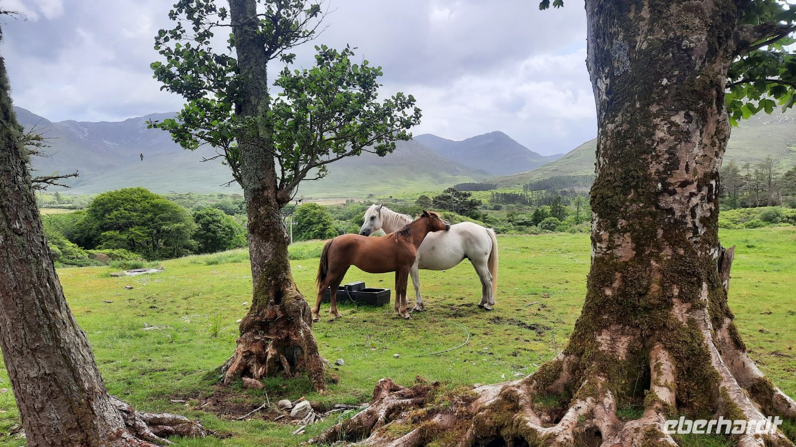 131 – Irland, Connemara, Kylemore Abbey &ndash; &copy; Vivien Fiedler (Eberhardt TRAVEL)