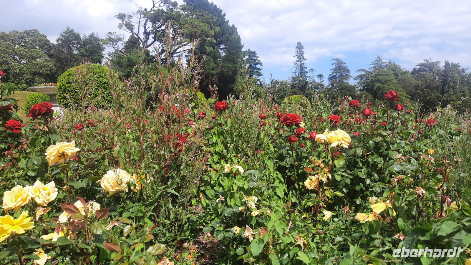 246 – Irland, Powerscourt Gardens &ndash; &copy; Vivien Fiedler (Eberhardt TRAVEL)