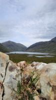 093 – Irland, Doolough Valley &ndash; &copy; Vivien Fiedler (Eberhardt TRAVEL)