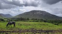 132 – Irland, Connemara, Kylemore Abbey &ndash; &copy; Vivien Fiedler (Eberhardt TRAVEL)