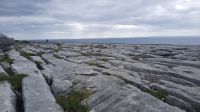 177 – Irland, Burren &ndash; &copy; Vivien Fiedler (Eberhardt TRAVEL)