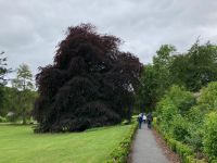 4. Tag – Spaziergang im Coole Park &ndash; &copy; Andreas Wolfsteller (Eberhardt TRAVEL)