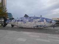 Belfast: Lachs der Weisheit &ndash; &copy; Sinah Witzig (Eberhardt TRAVEL)