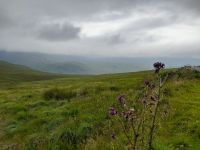 Glenveagh Nationalpark &ndash; &copy; Sinah Witzig (Eberhardt TRAVEL)