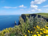 Cliffs of Moher &ndash; &copy; Sinah Witzig (Eberhardt TRAVEL)
