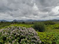 Connemara &ndash; &copy; Sinah Witzig (Eberhardt TRAVEL)