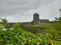 Dunguaire Castle &ndash; &copy; Sinah Witzig (Eberhardt TRAVEL)