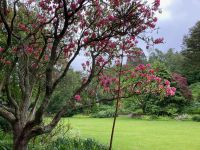 3. Tag – Wanderung im Glenveagh-Nationalpark &ndash; &copy; Andreas Wolfsteller (Eberhardt TRAVEL)