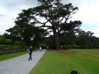 ...und Park &ndash; &copy; Adelheid Fritzsche (Eberhardt TRAVEL)