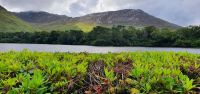 20220907_124731.jpg  Pollacapall Lough &ndash; &copy; Marlies Thrum (Eberhardt TRAVEL)