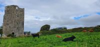 20220908_094403.jpg Leamaneh- Home der Roten Mary &ndash; &copy; Marlies Thrum (Eberhardt TRAVEL)
