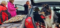 20220909_110945.jpg Dingle Halbinsel  &ndash; &copy; Marlies Thrum (Eberhardt TRAVEL)