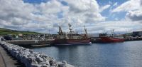 20220909_133935.jpg  Hafen von Dingle &ndash; &copy; Marlies Thrum (Eberhardt TRAVEL)