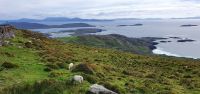 20220910_140306.jpg  Ring of Kerry Com an Chiste View Point &ndash; &copy; Marlies Thrum (Eberhardt TRAVEL)
