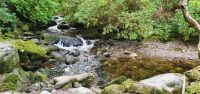 20220910_170411.jpg Torc Waterfall &ndash; &copy; Marlies Thrum (Eberhardt TRAVEL)