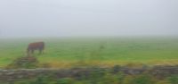 20220911_162737.jpg Fahrt nach Waterford