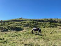 6. Tag – Wanderung auf den Aran Islands &ndash; &copy; Andreas Wolfsteller (Eberhardt TRAVEL)